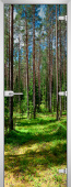 Стеклянная межкомнатная дверь Forest-03